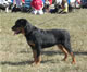 4-6 month Females: 100 4745