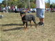 4-6 month Females: 100 4794