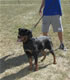 6-9 month Females: 100 4841