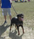 6-9 month Females: 100 4846