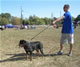 6-9 month Females: 100 4850