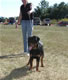 6-9 month Females: 100 4856
