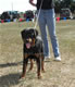 6-9 month Females: 100 4860