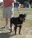 6-9 month Females: 100 4869