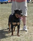 6-9 month Females: 100 4872