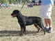 6-9 month Females: 100 4878