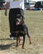 6-9 month Females: 100 4886
