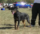 6-9 month Females: 100 4890