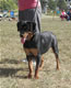 6-9 month Females: 100 4895