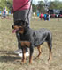 6-9 month Females: 100 4898