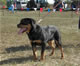 6-9 month Females: 100 4900