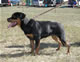 6-9 month Females: 100 4902