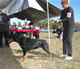 6-9 month Females: 100 4908