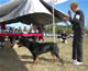 6-9 month Females: 100 4910
