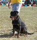 6-9 month Females: 100 4913