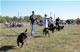 6-9 month Females: 100 4917