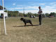 Sieger Class Males: 100 5505