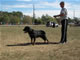 Sieger Class Males: 100 5507