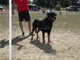 Sieger Class Males: 100 5537