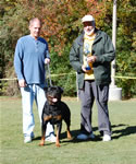 ADULTS: 0602 Iggy Vom Blaurasen V3