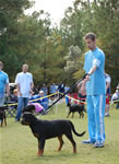 4-6 FEMALES: 0178 Aubrey Von Der Stark P