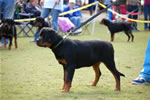 4-6 FEMALES: 0179 Aubrey Von Der Stark P