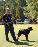 9-12 FEMALES: 0279 Ava Vom Middleburg P2