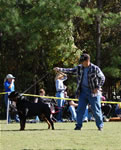 12-18 MALES: 0303 Ceker Von Kelemen SG