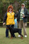 4-6 MALES: 0063 Helios Vom Lowenherzig VP1 Best Male Puppy