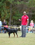 6-9 MALES: 0116 Kobe Von Rivendell VP3