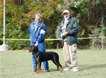 9-12 MALES: 0153 Darkstarrs Wham VP2