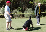 MALES VETERANS: 0143 Ramzes Crni Lotos V1