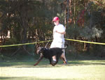 MALES VETERANS: 0315 Ramzes Crni Lotos V1 From Veterans Class