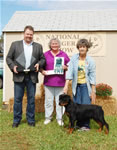 0226 Best Male Puppy Kostlich Austin Blu Odin Misty Lake