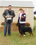 0881 Hopehill Deepriver Son Of A Gun Sieger Class Males V1