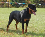 0299 Lucia V Drakkenfels SG