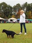 0137 Ditza Vd Stark VP