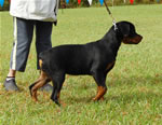 0151 Kostlich Bess V Ursa VP3