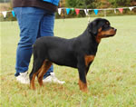 0164 Kostlich Bella Filou V Ursa VP4
