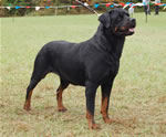 0683 Kylie V Alstaden G