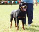 0256 Balou V Marianenthal G