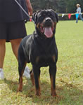 0291 Vico V Haus Fritz G4