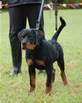 0021 Fritz V Landschaft VP3