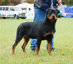 0062 Darkstarrs Coby Dicalabria VP1