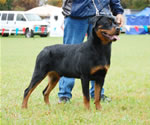 0063 Darkstarrs Coby Dicalabria VP1
