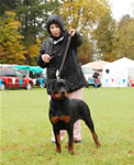 0072 Sagenhaft Gryphon V Drakkenfells VP3