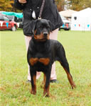 0073 Sagenhaft Gryphon V Drakkenfells VP3