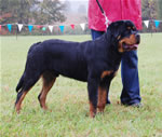 0087 Jennasons Cajun Chance P
