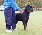 0100 Nikko V Drakkenfels P4