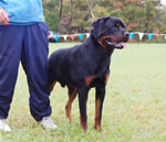 0101 Nikko V Drakkenfels P4